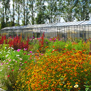 Festina Lente tuin